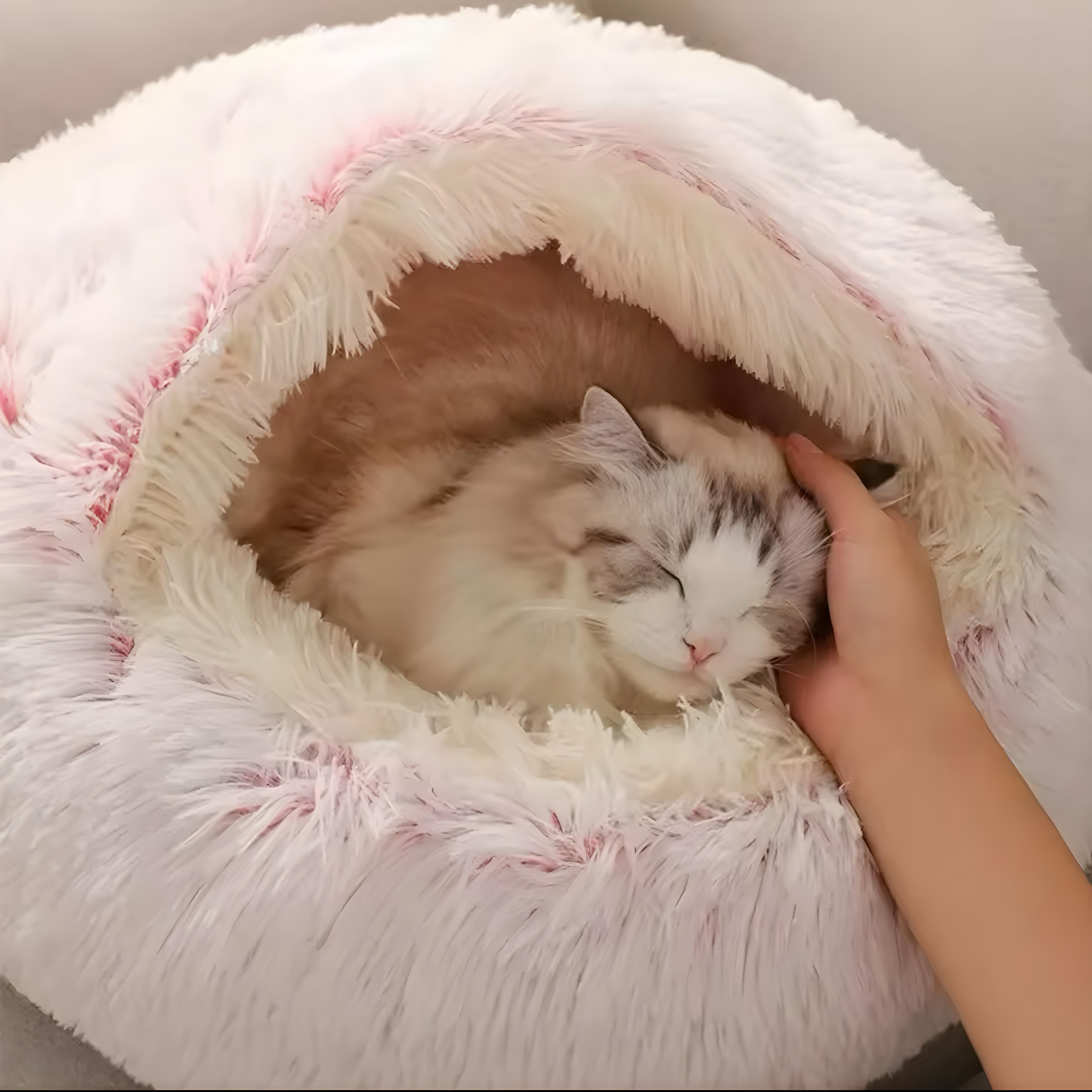 Warm Plush Bed