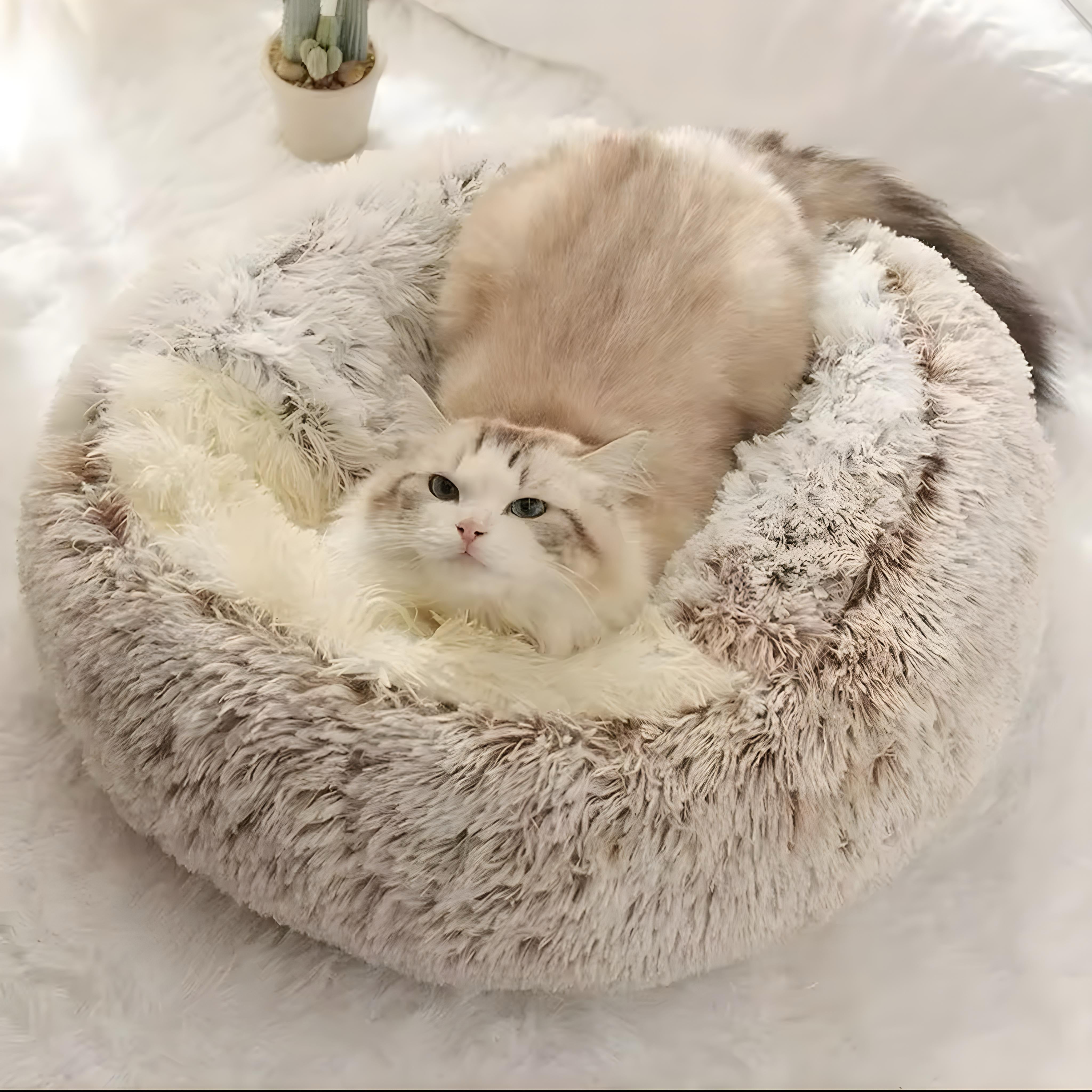 Warm Plush Bed